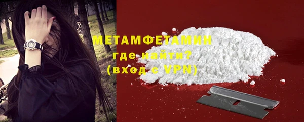 ПСИЛОЦИБИНОВЫЕ ГРИБЫ Вяземский