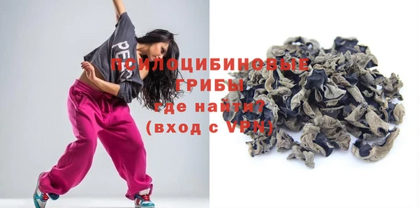 стаф Вязьма