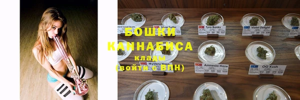 стаф Вязьма