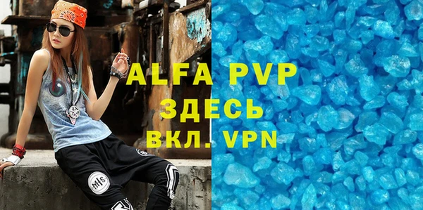 стаф Вязьма