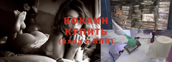 ПСИЛОЦИБИНОВЫЕ ГРИБЫ Вяземский