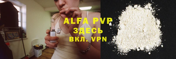 ПСИЛОЦИБИНОВЫЕ ГРИБЫ Вяземский