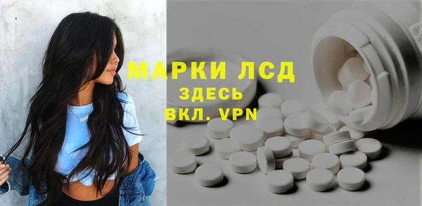 стаф Вязьма