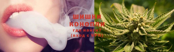 ПСИЛОЦИБИНОВЫЕ ГРИБЫ Вяземский