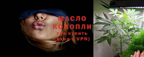 стаф Вязьма