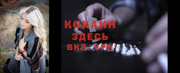 ПСИЛОЦИБИНОВЫЕ ГРИБЫ Вяземский