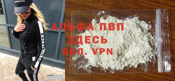 ПСИЛОЦИБИНОВЫЕ ГРИБЫ Вяземский
