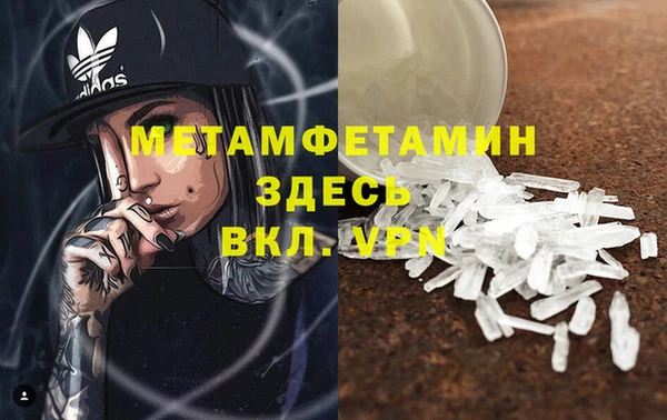 ПСИЛОЦИБИНОВЫЕ ГРИБЫ Вяземский