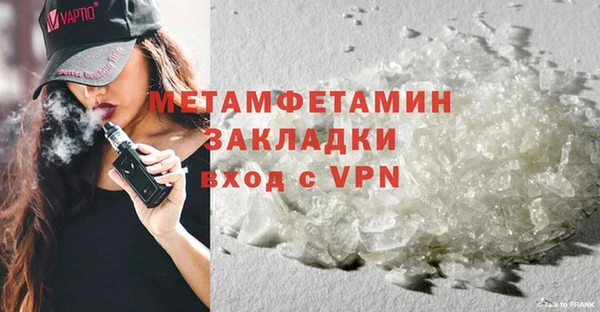 ПСИЛОЦИБИНОВЫЕ ГРИБЫ Вяземский