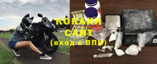 стаф Вязьма
