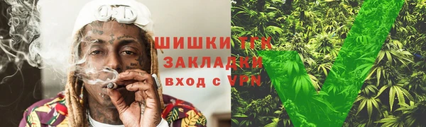 стаф Вязьма