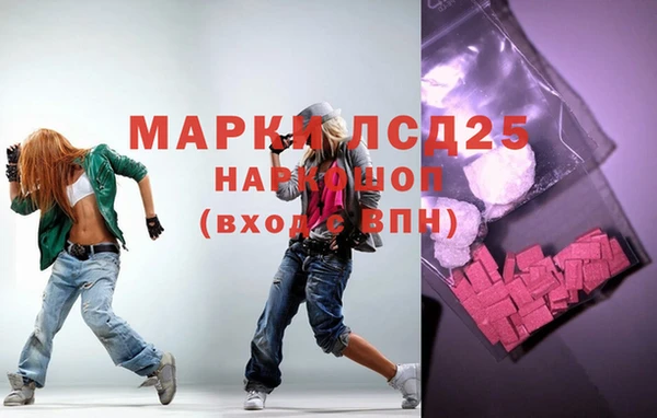ПСИЛОЦИБИНОВЫЕ ГРИБЫ Вяземский