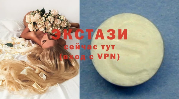 стаф Вязьма