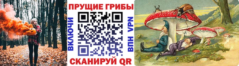 где купить   Рубцовск  Псилоцибиновые грибы мухоморы 